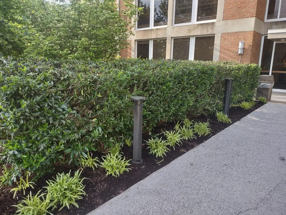 Trusted outdoor landscaping experts serving Knoxville, TN - B&C Lawn Care