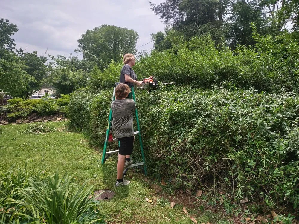 Custom lawn mowing service for beautiful yards across Knoxville, TN - B&C Lawn Care