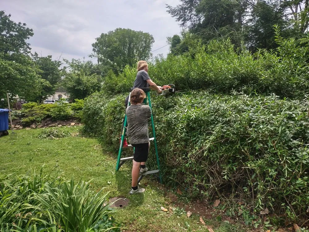 Reliable landscape design for outdoor upgrades across Knoxville, TN - B&C Lawn Care