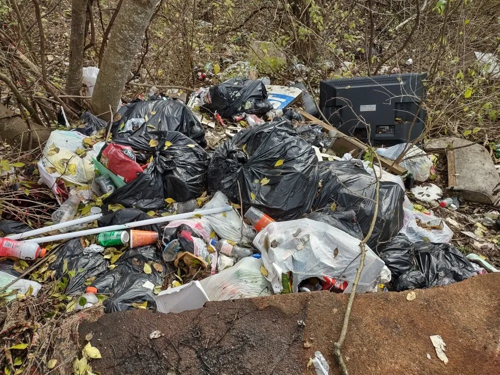 Custom landscape design in Knoxville, TN - B&C Lawn Care