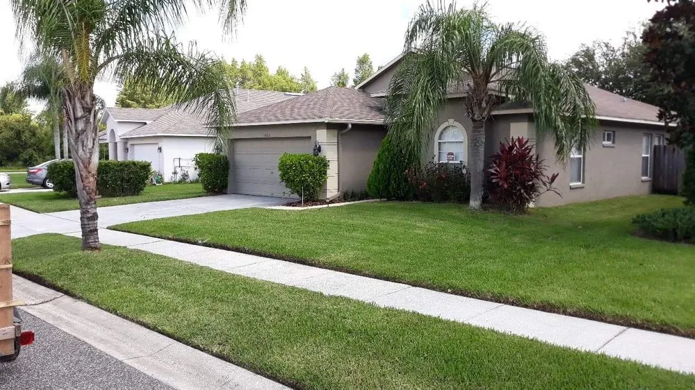 Reliable yard cleanup service in Lutz, FL by BC lawn Care