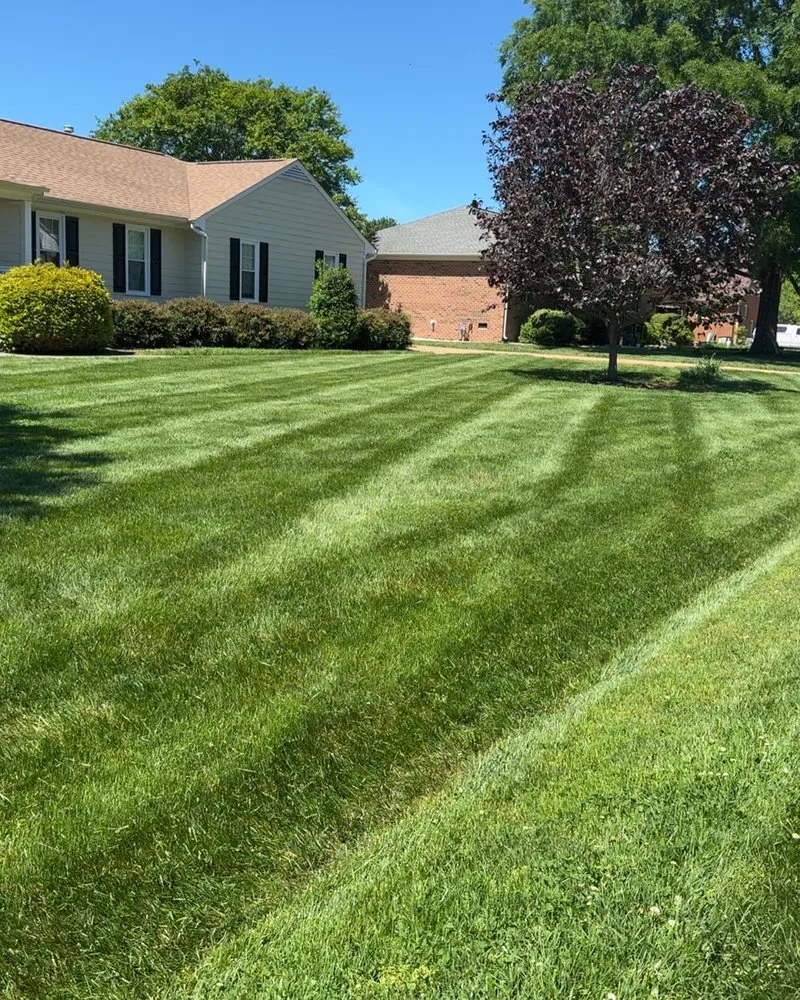 Local landscaping services in Mechanicsville, VA - BC Lawn Care