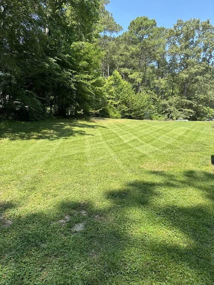 Expert yard cleanup service in Mechanicsville, VA by BC Lawn Care