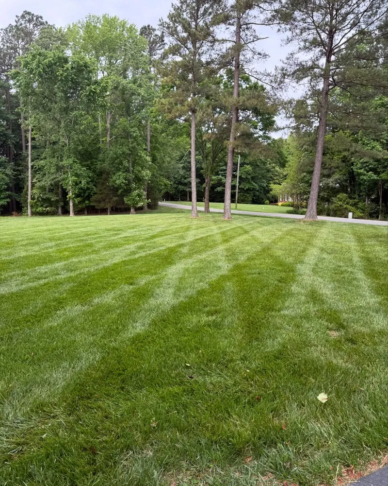 Custom landscape design for residential properties across Mechanicsville, VA - BC Lawn Care