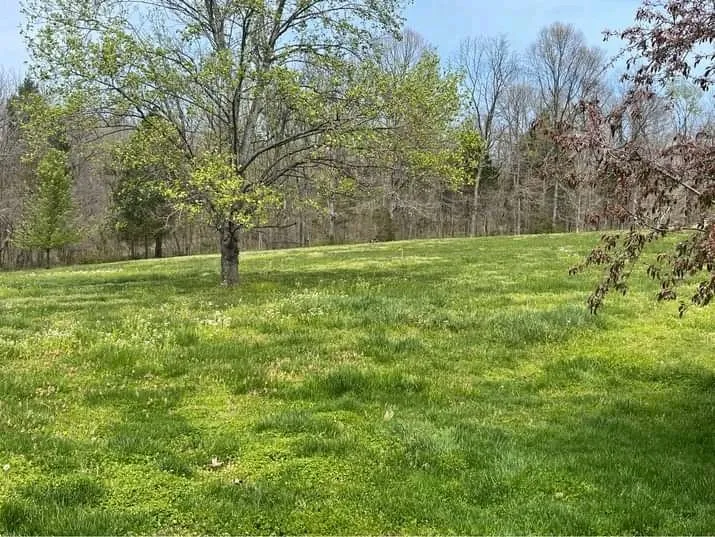 Custom lawn mowing service with custom design across Westmoreland, TN - BC Lawn Care Services