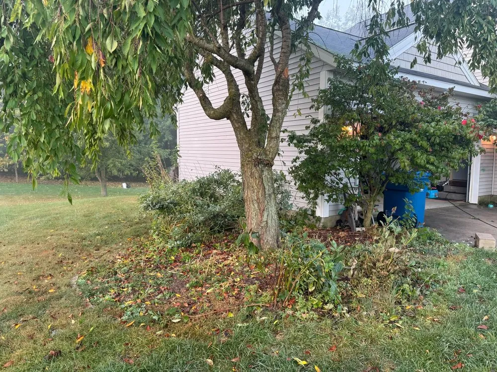 Reliable yard cleanup service in Conklin, MI by BC Lawncare & Landscape