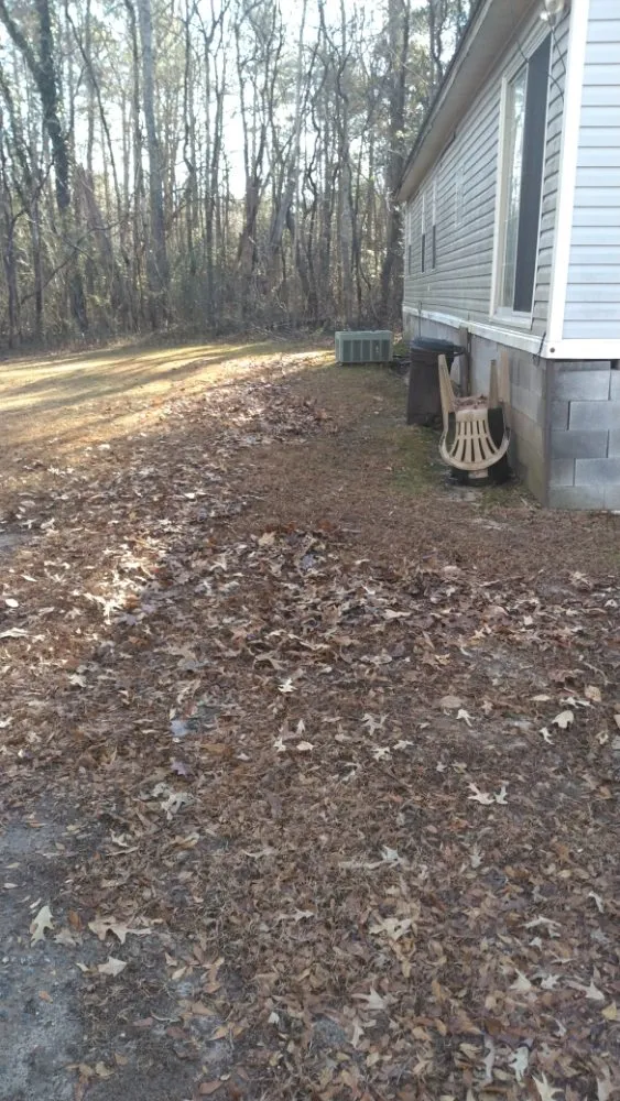 Professional yard cleanup service experts serving Aylett, VA - BC lawncare