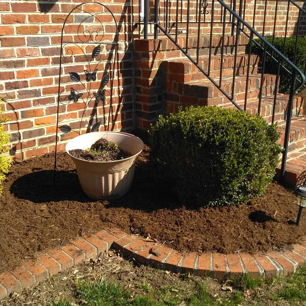 Reliable yard cleanup service in Aylett, VA by BC lawncare