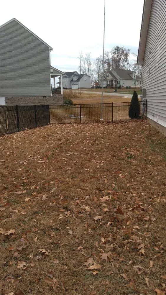 Top-rated yard cleanup service in Aylett, VA - BC lawncare