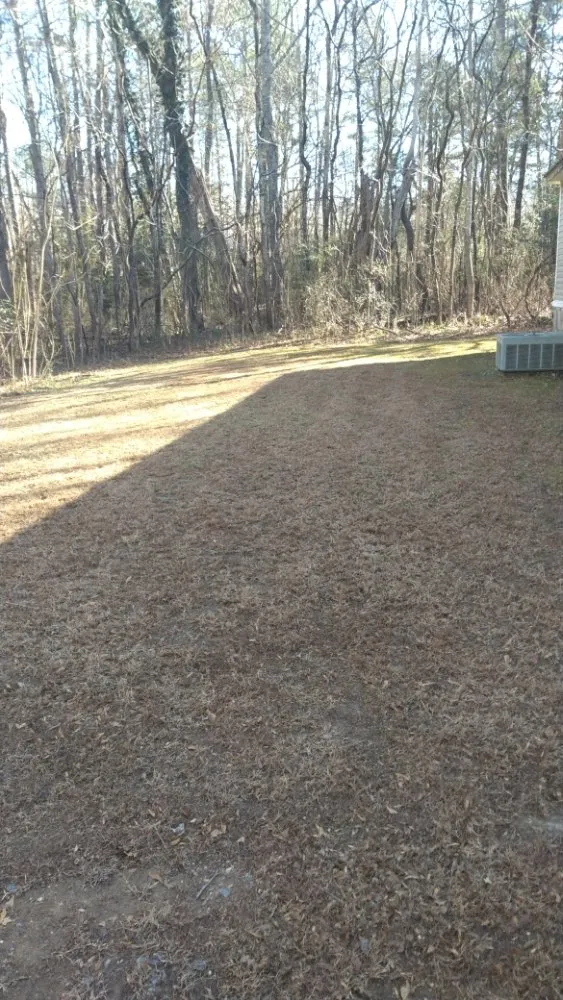 Trusted lawn mowing service in Aylett, VA by BC lawncare