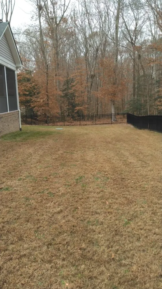 Trusted yard cleanup service experts serving Aylett, VA - BC lawncare