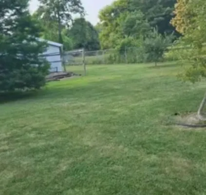 B&C Maintenance And Lawncare