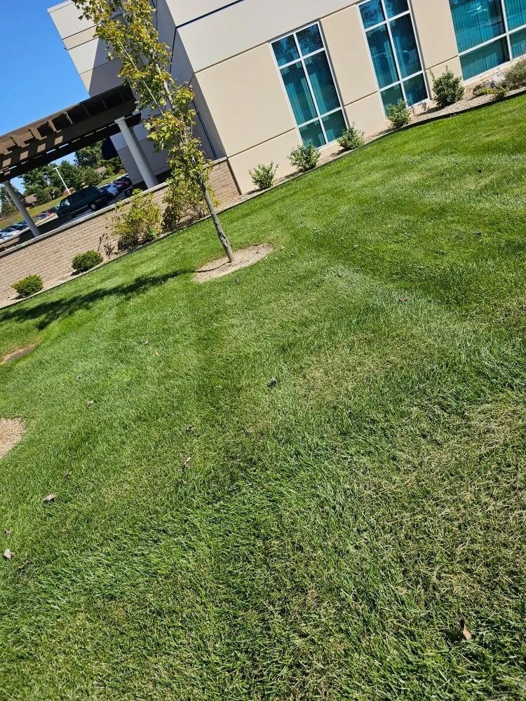 Expert lawn care service in Corydon, IN by BC Paradise