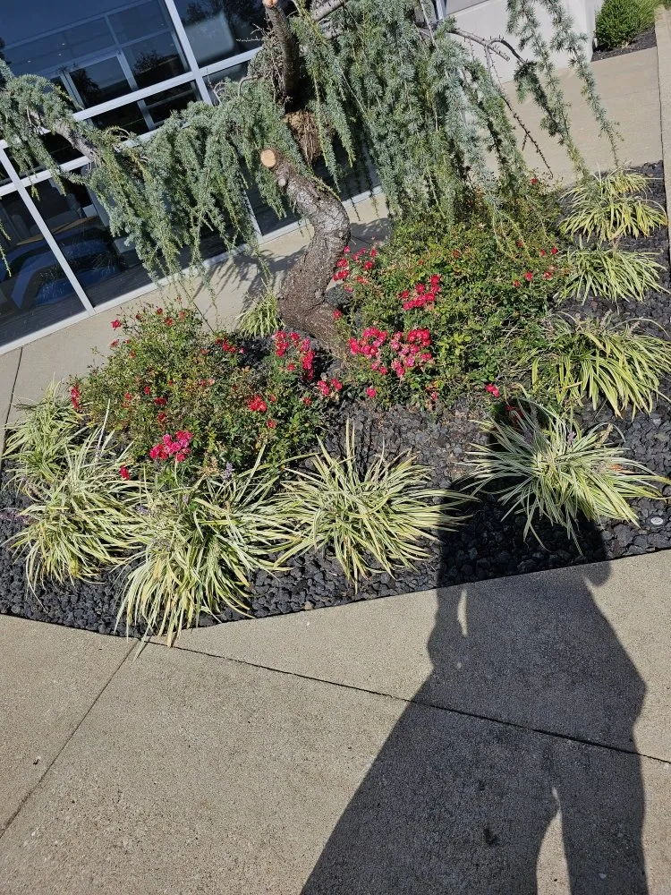 Reliable lawn mowing service for outdoor upgrades across Corydon, IN - BC Paradise