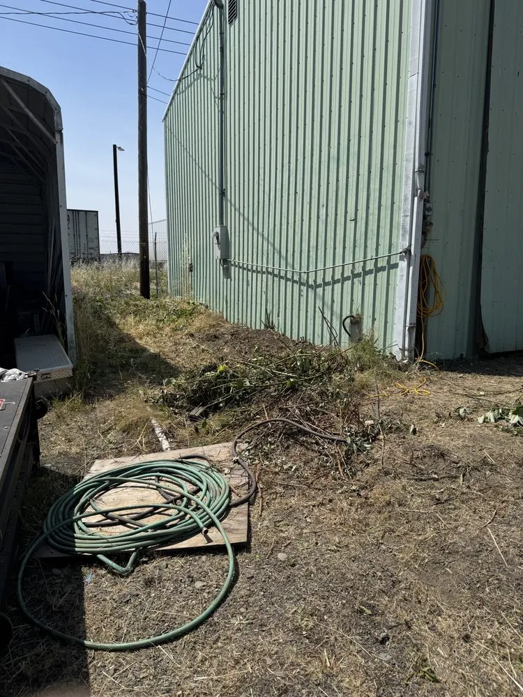 Custom yard maintenance for homes across Eugene, OR - B&C Pressure Wash & Landscaping