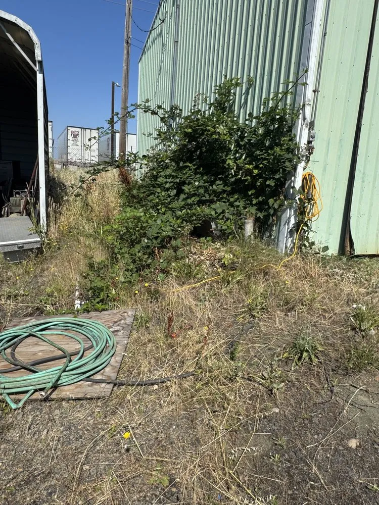 Reliable garden landscaping experts serving Eugene, OR - B&C Pressure Wash & Landscaping