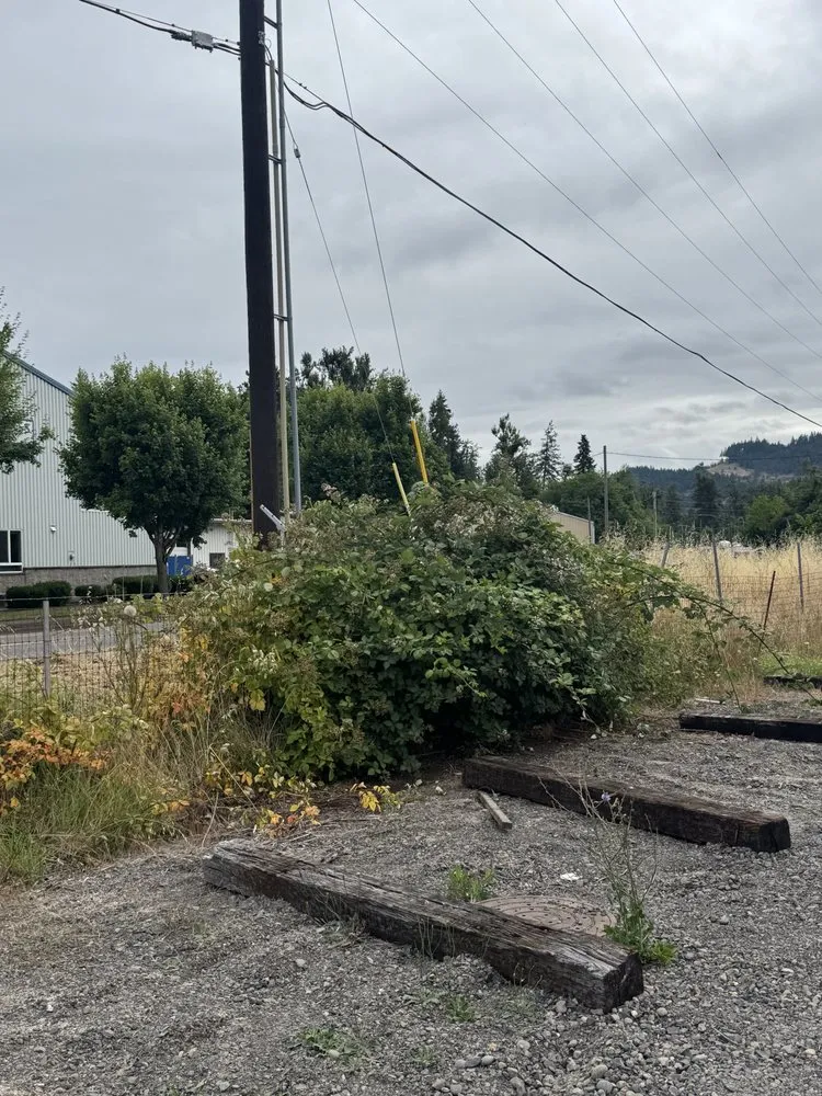 Professional garden landscaping in Eugene, OR by B&C Pressure Wash & Landscaping