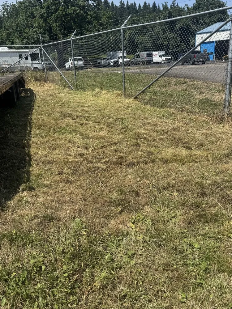 Expert landscaping services for homes in Eugene, OR by B&C Pressure Wash & Landscaping