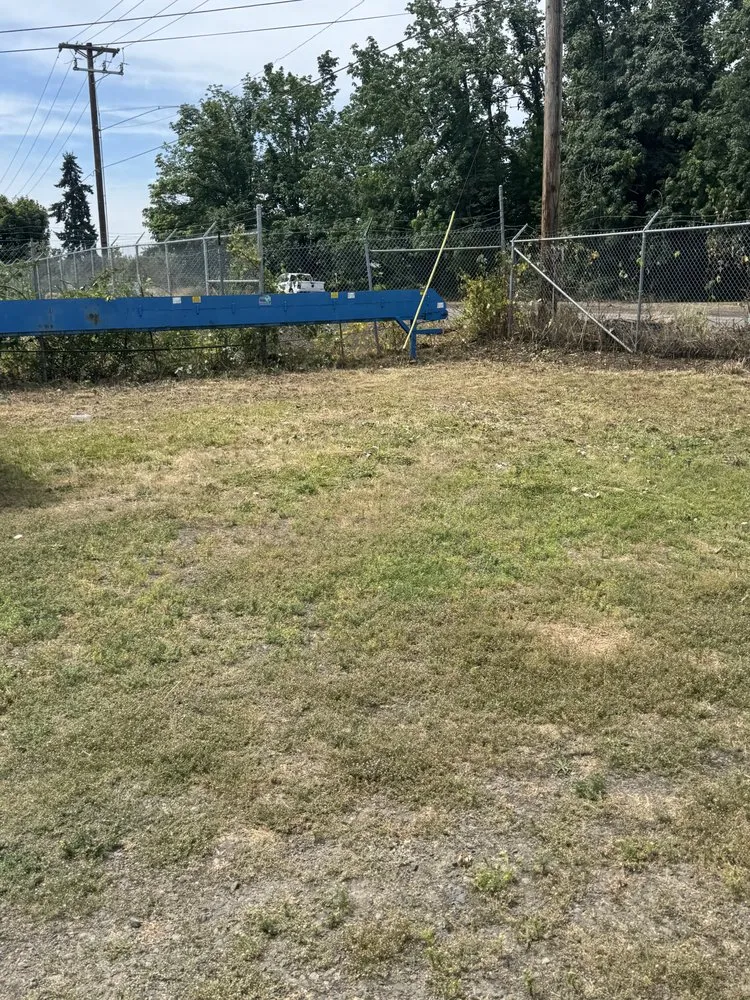 Top-rated yard cleanup service experts serving Eugene, OR - B&C Pressure Wash & Landscaping