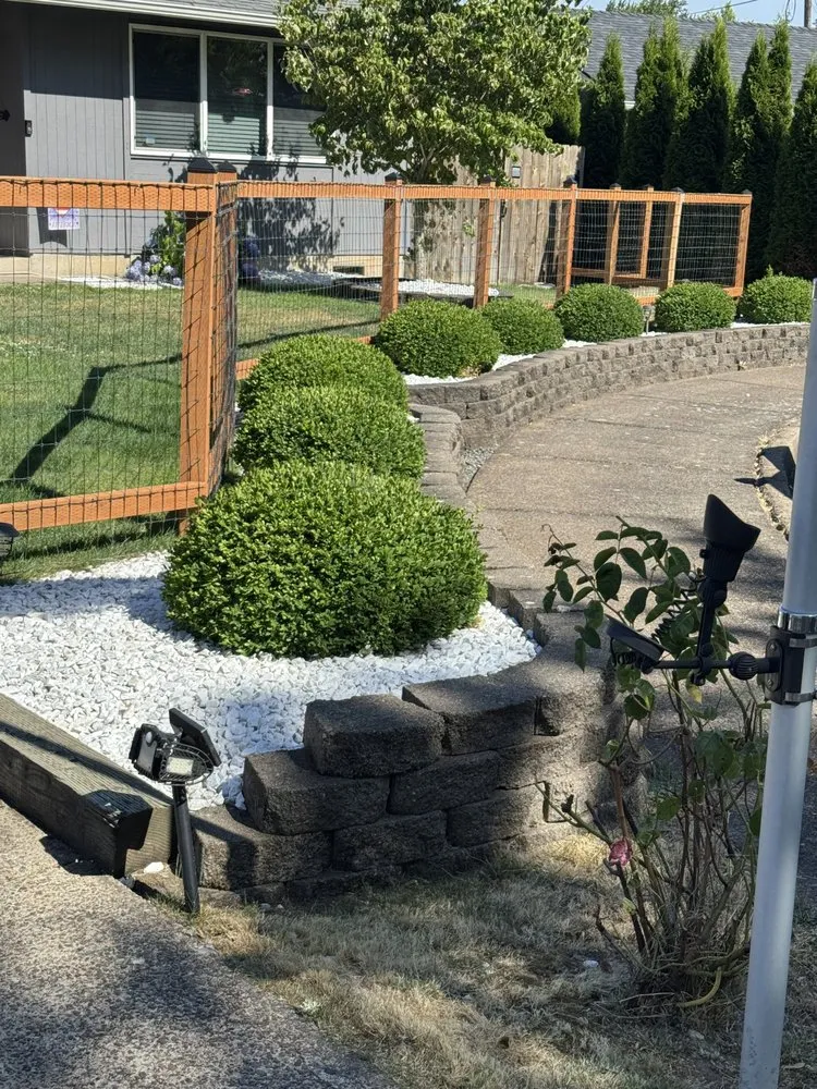 Professional yard cleanup service experts serving Eugene, OR - B&C Pressure Wash & Landscaping