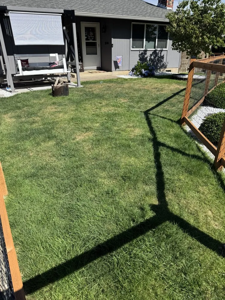 Expert yard cleanup service for year-round maintenance across Eugene, OR - B&C Pressure Wash & Landscaping