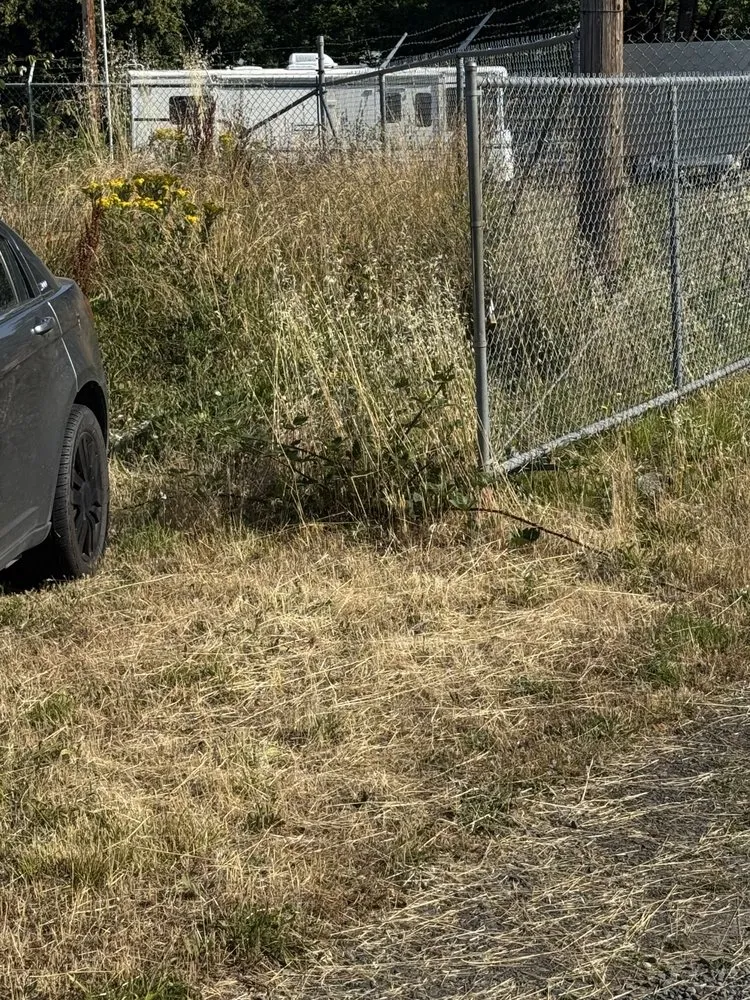 Reliable landscape installation near you across Eugene, OR - B&C Pressure Wash & Landscaping