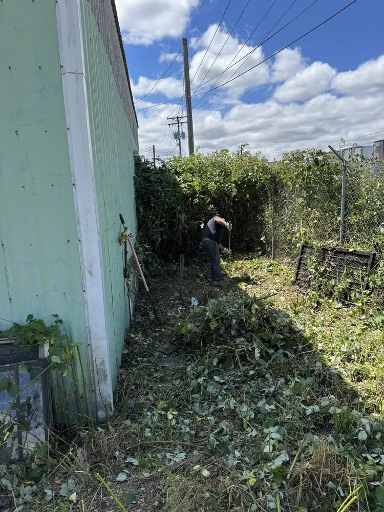 Top-rated lawn mowing service for homes in Eugene, OR by B&C Pressure Wash & Landscaping