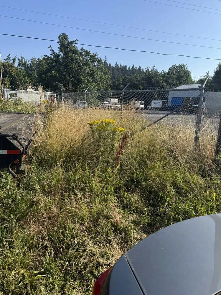 Custom outdoor landscaping for outdoor upgrades across Eugene, OR - B&C Pressure Wash & Landscaping