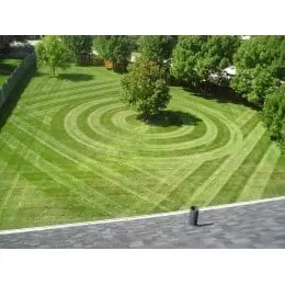 Affordable yard maintenance in Mesa, AZ by B.C. Reliable Landscaping