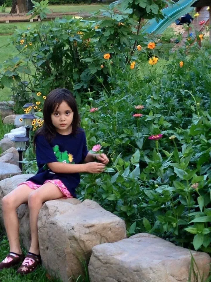 Reliable residential landscaping for homes in Independence, LA by BC Rock Forms