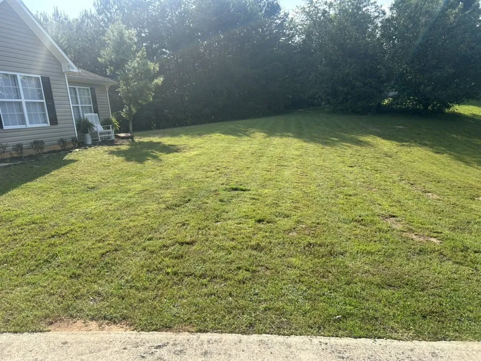 Local garden landscaping experts serving Hayden, AL - B&C Solutions