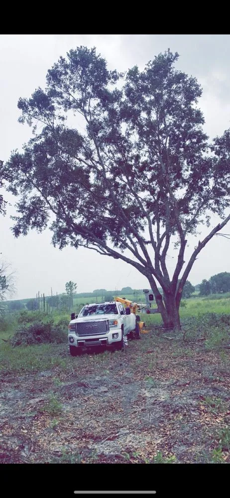 Affordable lawn care service in Fruitland Park, FL by BC tree & Landscaping