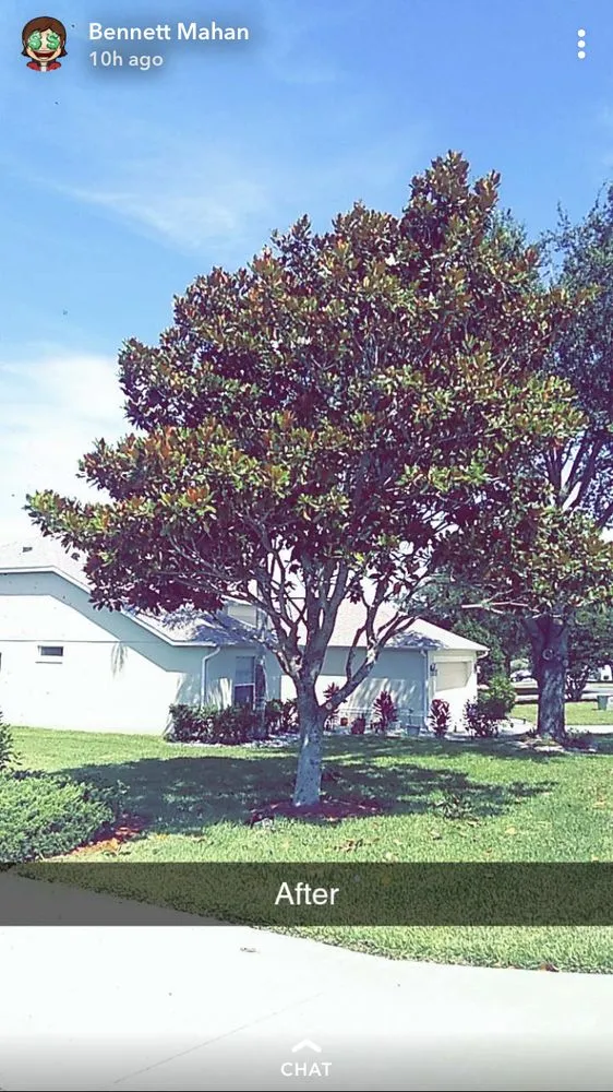 Local landscaping services in Fruitland Park, FL by BC tree & Landscaping