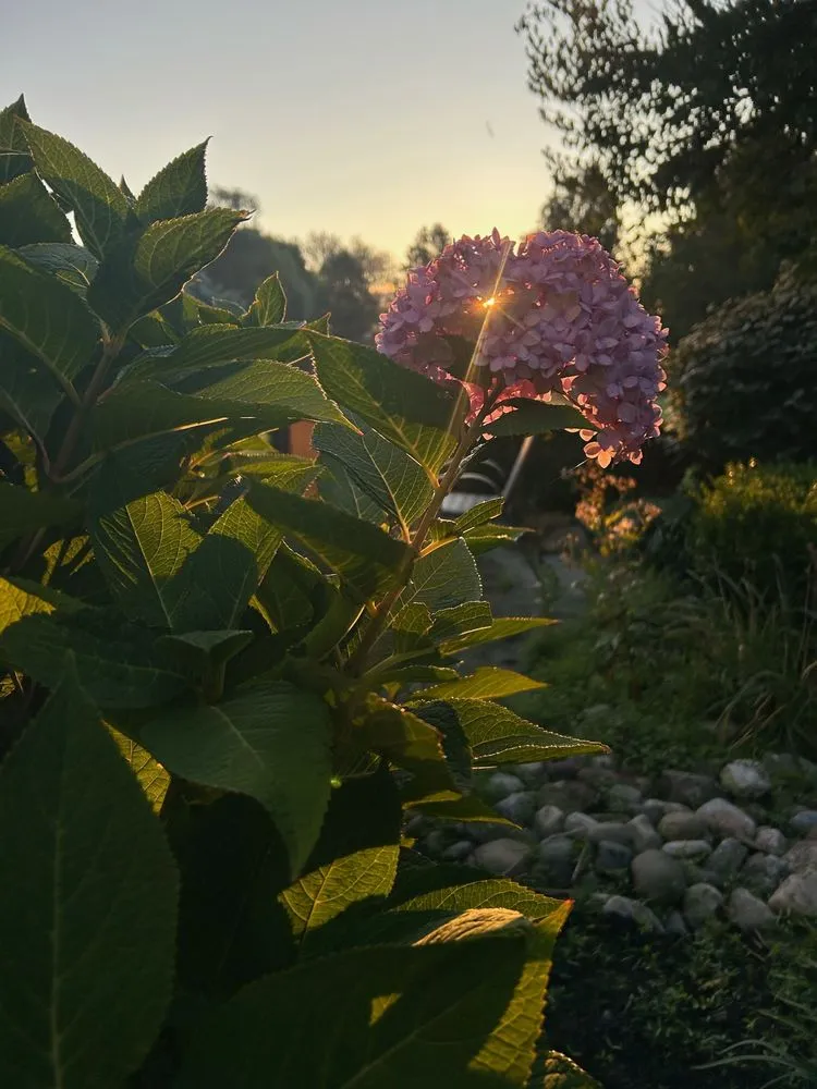 Reliable landscaping services experts serving Gilbertsville, PA - B&C Yardcare