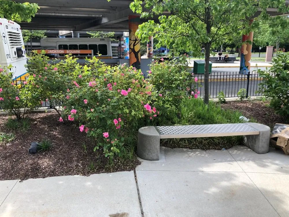 Trusted residential landscaping in Hyde Park, MA - BCA General Contractor