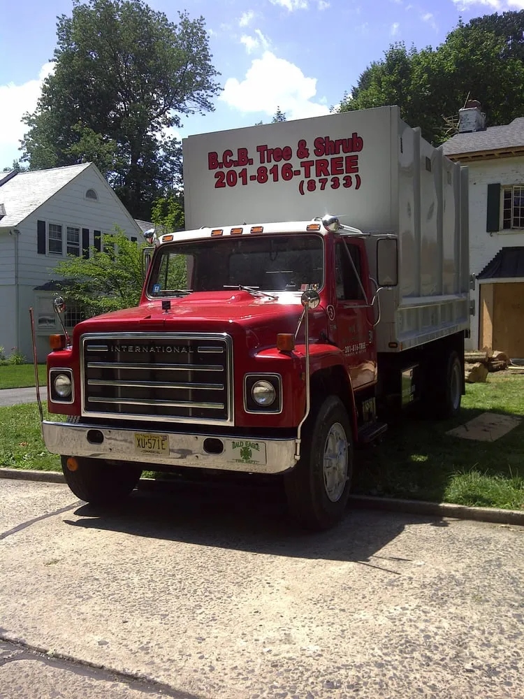 Top-rated lawn care service experts serving Old Tappan, NJ - BCB Services