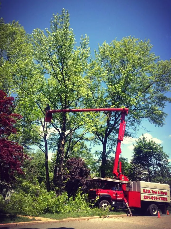 Trusted landscape installation for residential properties across Old Tappan, NJ - BCB Services