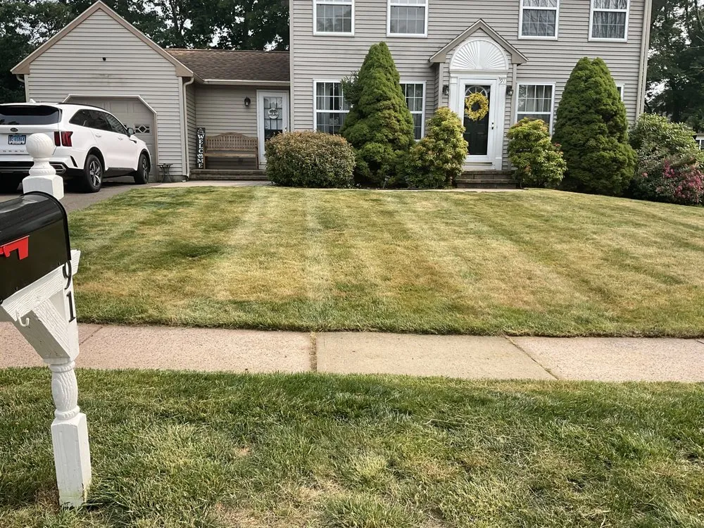 Trusted yard cleanup service in East Hartford, CT - BCC Enterprise