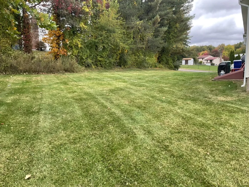 Trusted lawn care service experts serving East Hartford, CT - BCC Enterprise