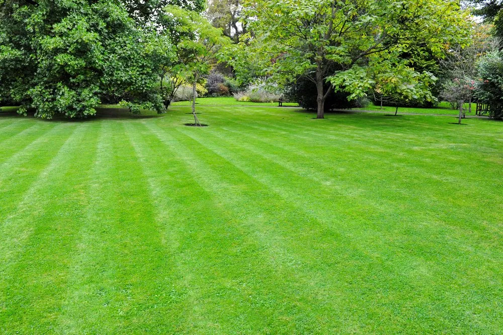 Expert lawn mowing service with custom design across Holly Springs, NC - BCC Landscaping