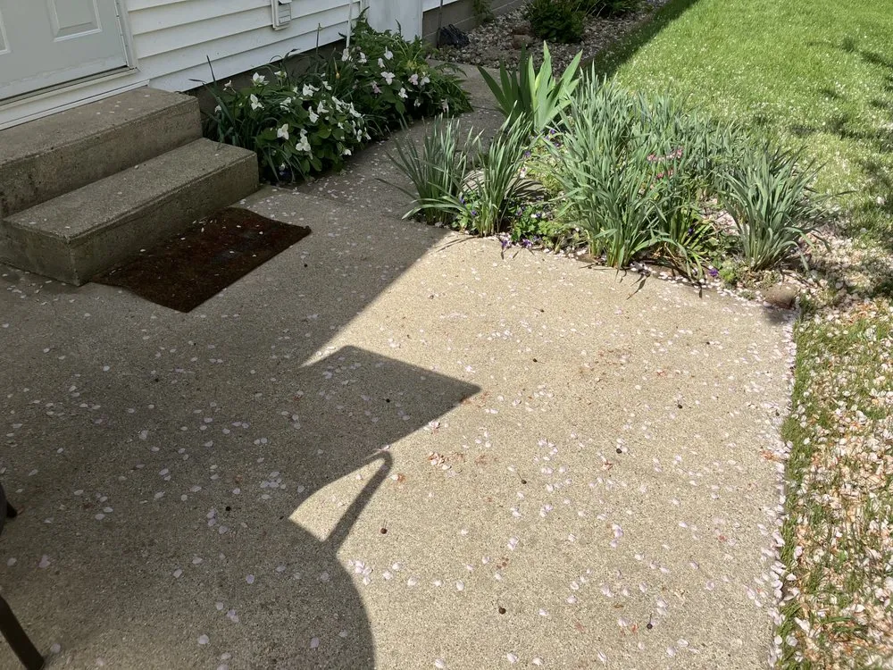 Top-rated yard maintenance experts serving Chesaning, MI - B.C.Details