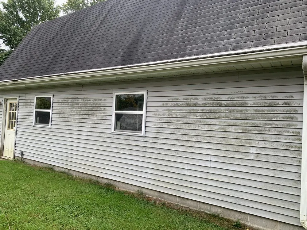 Professional yard cleanup service experts serving Chesaning, MI - B.C.Details