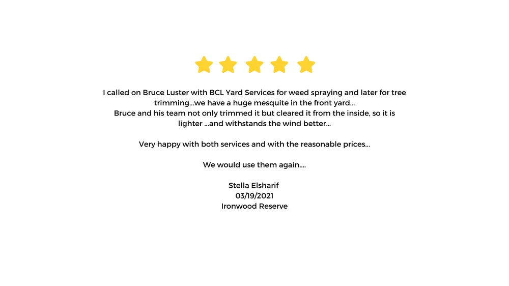 Professional outdoor landscaping for residential properties across Tucson, AZ - BCL Yard Services