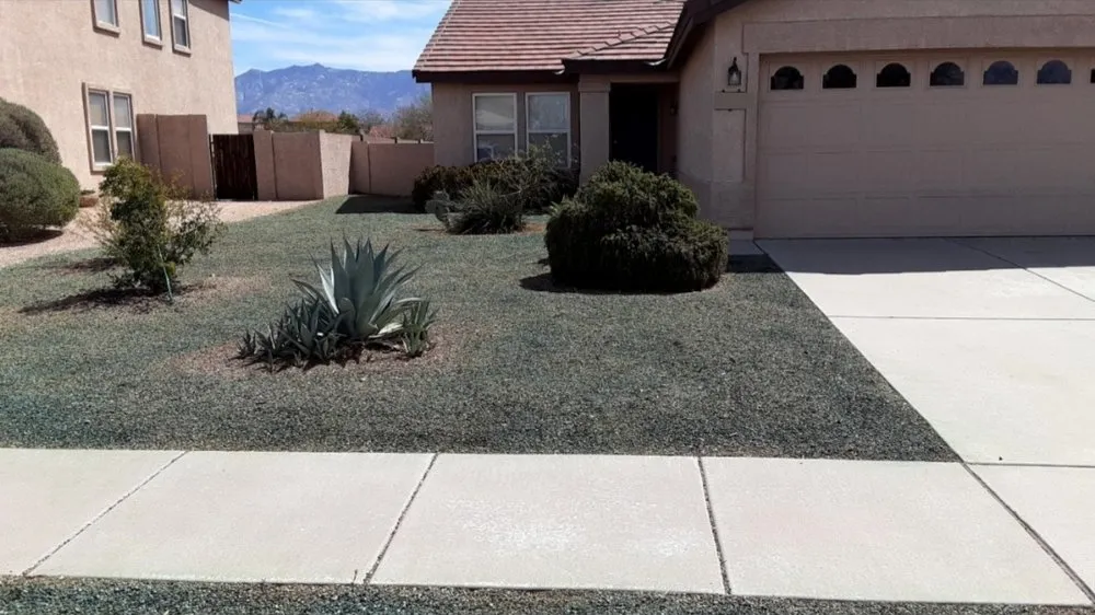 Affordable lawn care service experts serving Tucson, AZ - BCL Yard Services