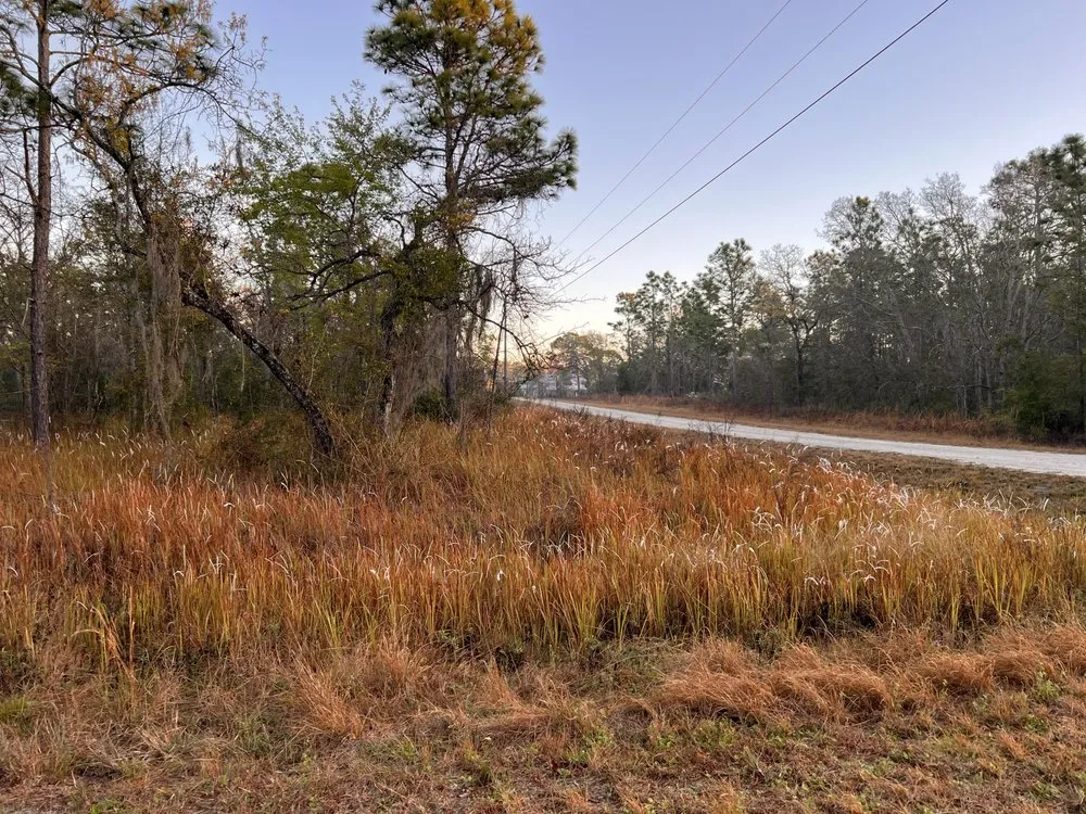 Local lawn care service experts serving Spring Hill, FL - Bcms Tractor Services