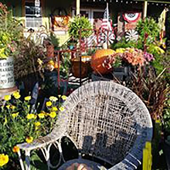 Expert yard cleanup service in Michigantown, IN - BCS Boutique