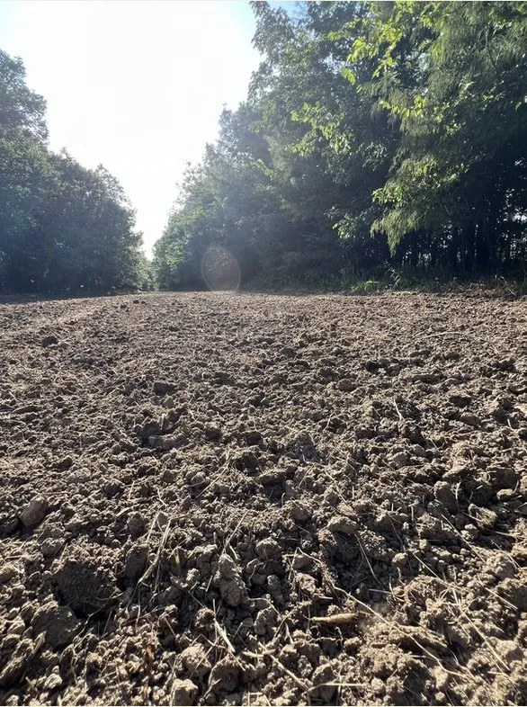 Expert lawn care service with custom design in Dexter, MO by BCS Land Company