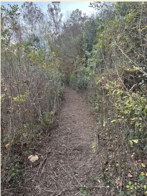 Trusted lawn mowing service in Dexter, MO by BCS Land Company