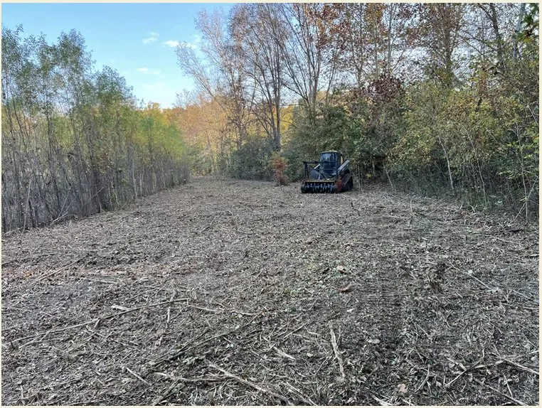 Custom lawn care service in Dexter, MO by BCS Land Company