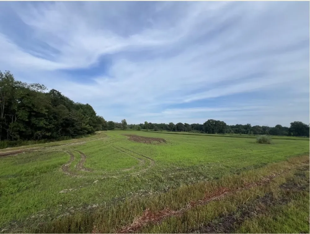 Reliable landscape design experts serving Dexter, MO - BCS Land Company